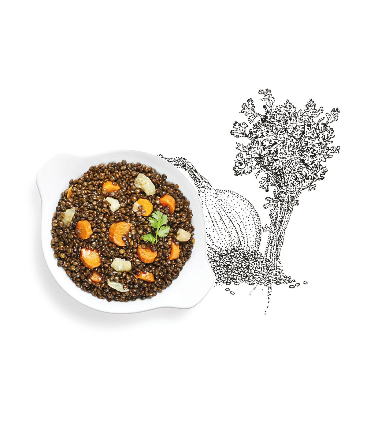 Lentilles vertes aux petits légumes et à la coriandre fraîche