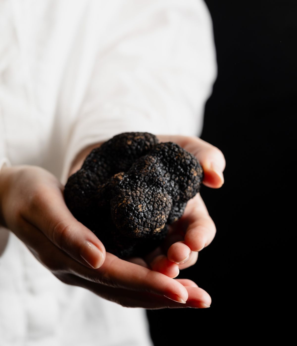 Truffe fraîche