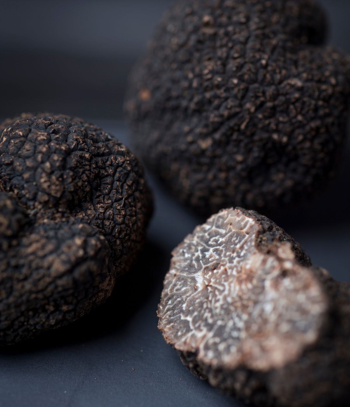 Truffe fraîche