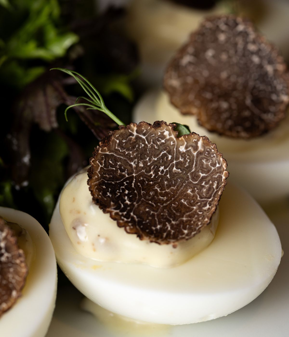 Truffe fraîche