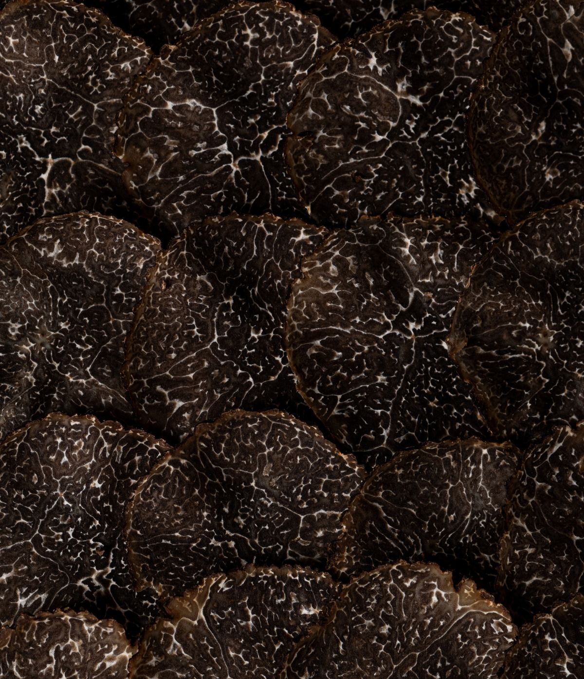 Truffe fraîche