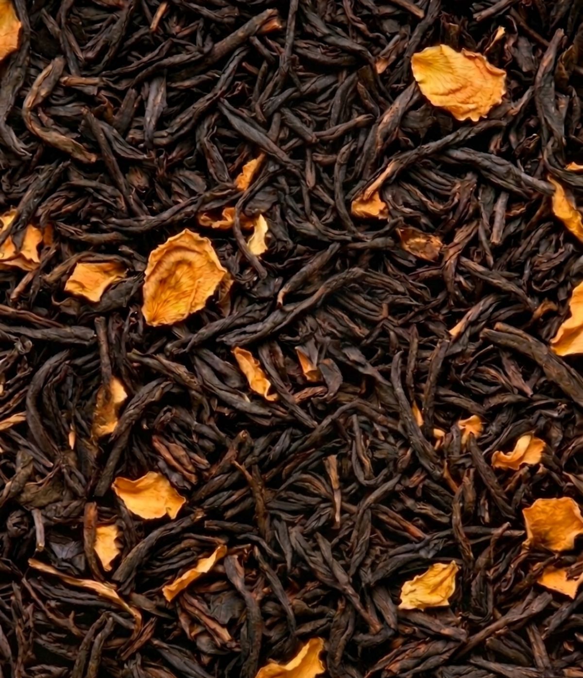 Thé n°226 au Cacao en Sachets